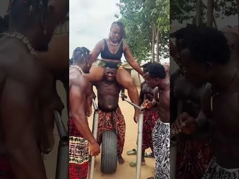 Never Give up @gokupump @Caulifla_fit @Vegeta_pain