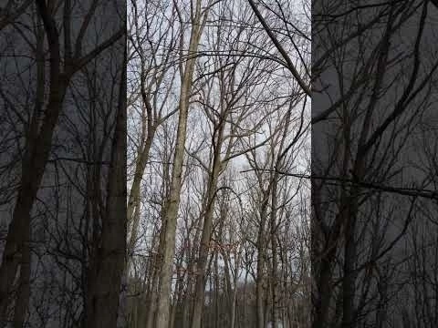 2023 message - your #youtubechannel matter #world #difference #positivity #society #shorts #fyp #fy