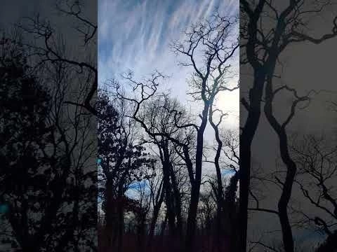 we are each other#39;s reflection #blackwoman #blackman #struggle #matrix #system #racial #agenda