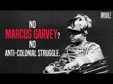 Dwayne Wong Responds to Drs. Monteiro and Ball