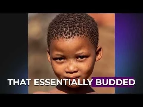 The Insanity of Racism and Why quot;That Dog Won#39;t Huntquot;