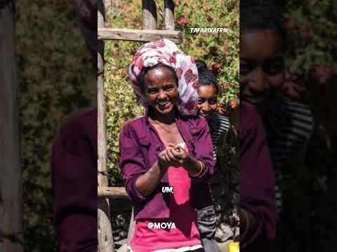 Ethiopia#39;s Hidden History of Slavery and Colonialism. Thau Thau Haramanuba