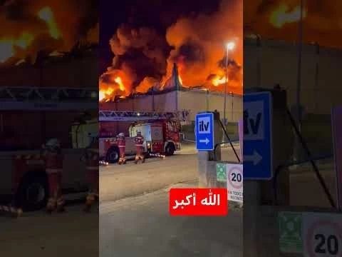 #ديتو #اكسبلور