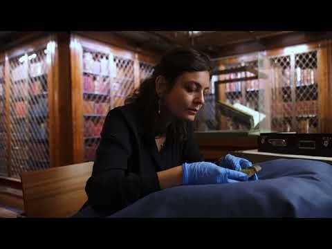 The Epic of Atrahasis and the History of Cuneiform | Collection in Focus