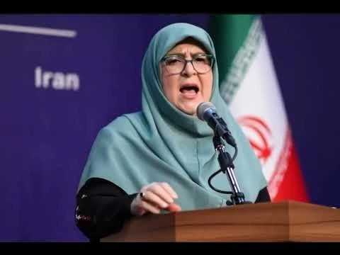 سخنگو دولت پزشکیان میگه ...