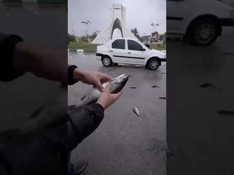 شهر عجیبیه !!