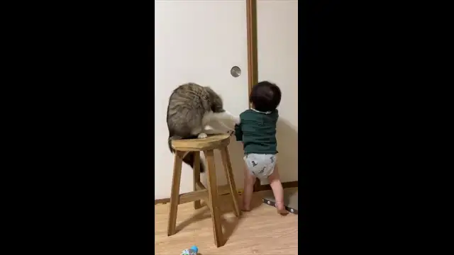 Cat Blocks Little Boy's Door Opening Attempts