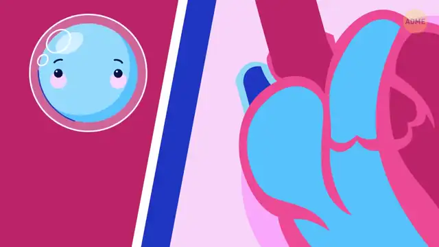 Путешествие кислорода по организм�