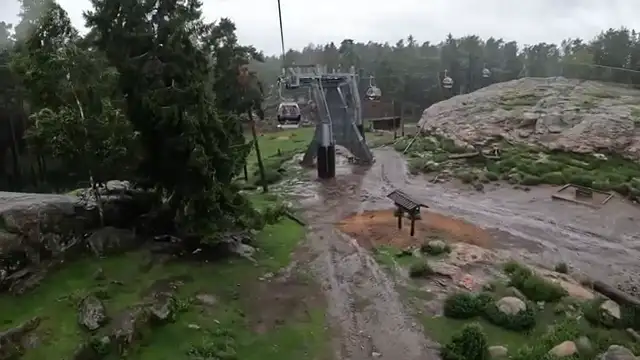 Tecknat Barn Svenska:Kolmården Djurpark AB (1965-2024) DVDRIPPEN (Svenska) Trailer (4K)